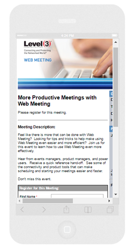 Level 3 Web Meeting