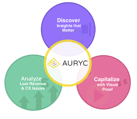 Auryc Software BI
